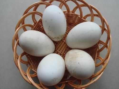 女性想要身體好，學(xué)會(huì)常吃3種食物，潤(rùn)膚養(yǎng)顏，抗衰老，滋補(bǔ)身體