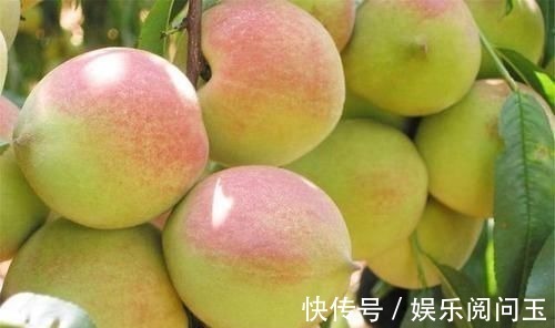 血管|想要身体长得壮,四种食物家中常备,清理血管,对肠胃有好处