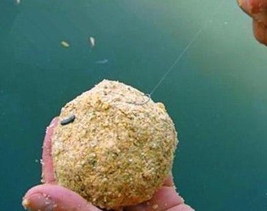 掠食者|野钓打窝技巧,选这样的位置打窝,渔获一定不会少