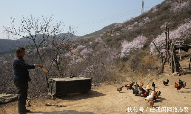 无人机在晋南大山发现桃花岛，7旬老夫妻隐居山中生活让人羡慕