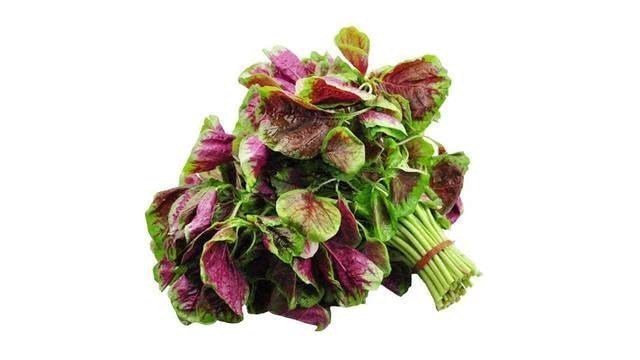 排骨|最补气血的食物前10名!红枣都要靠边站,赶紧看看