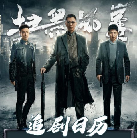 李成阳|《扫黑风暴》把孙红雷拉了回来,不断潜伏的他,终于找回了自己