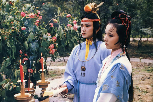 恒王|晴雯为何拼死补雀金裘？姽婳将军林四娘，暗示黛玉和宝钗生死搏杀