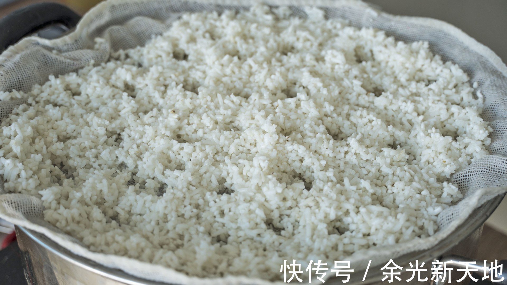 早餐|7天早餐不重样，粗细粮搭配合理，好做又好吃，照着做简单省事