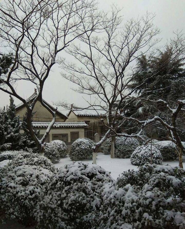 龙口|雪｜龙口文学·老宅漱芳园的飘雪