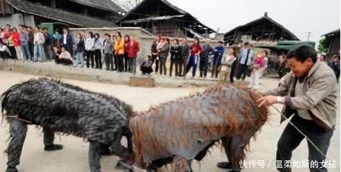  开心|说非遗之湖湘篇—他们被扮成牛供人观赏，却还很开心