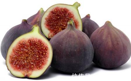 养花不是新鲜事，现在种棵“无花果”，满满当当全是果！