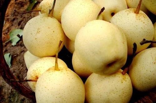 退烧药|宝宝发烧吃6种水果,比吃退烧药有效果,而且对身体还好