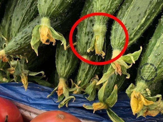 黄瓜瓜|买黄瓜时，遇到4种转身就走，5毛1斤也不要，为了健康别图便宜