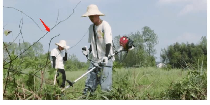 花絮|《向往5》迎来了最“心酸”的一批嘉宾,艰辛镜头全在未播花絮中
