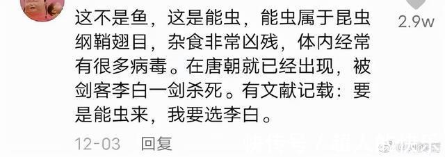 |拍迪士尼烟花翻车现场 冷段子2008