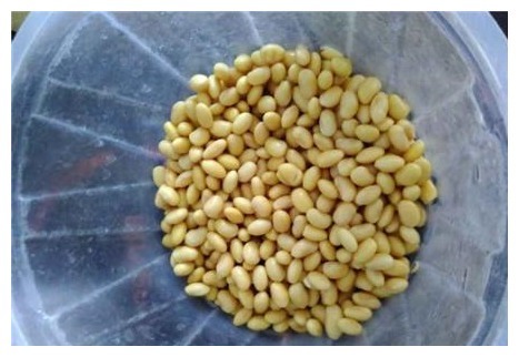 番茄酱|这碗一黄一红的菜，再忙也要做，孩子吃小个蹭蹭长，女人吃抗衰老