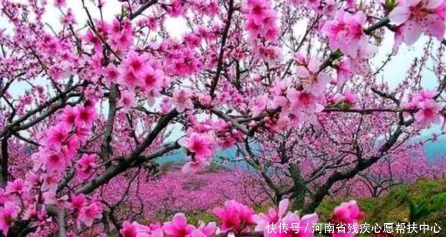 峡谷|南阳这个县境内11个大境区遍布110个绝美景点