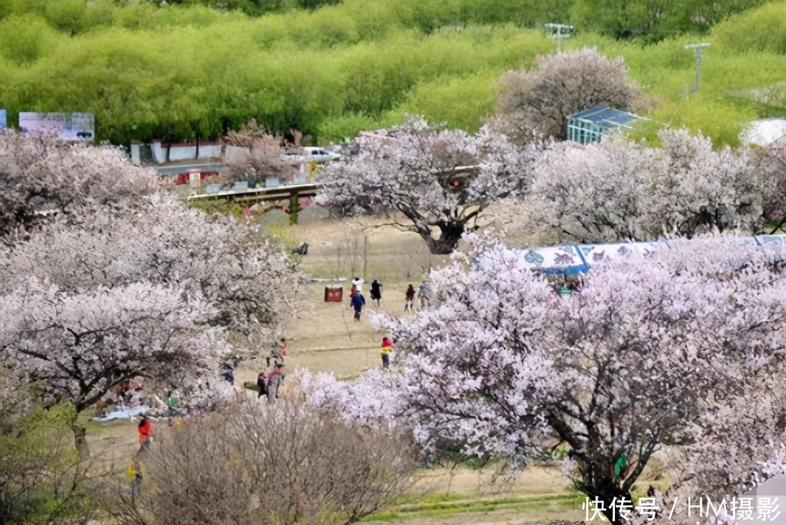 陕西“养老县城”走红，风景绝美，物价水平低，真正的退休天堂