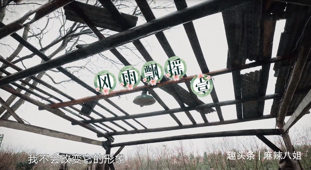 张子枫|三年前戏言成真,看样子“送礼事件”对何炅影响很大