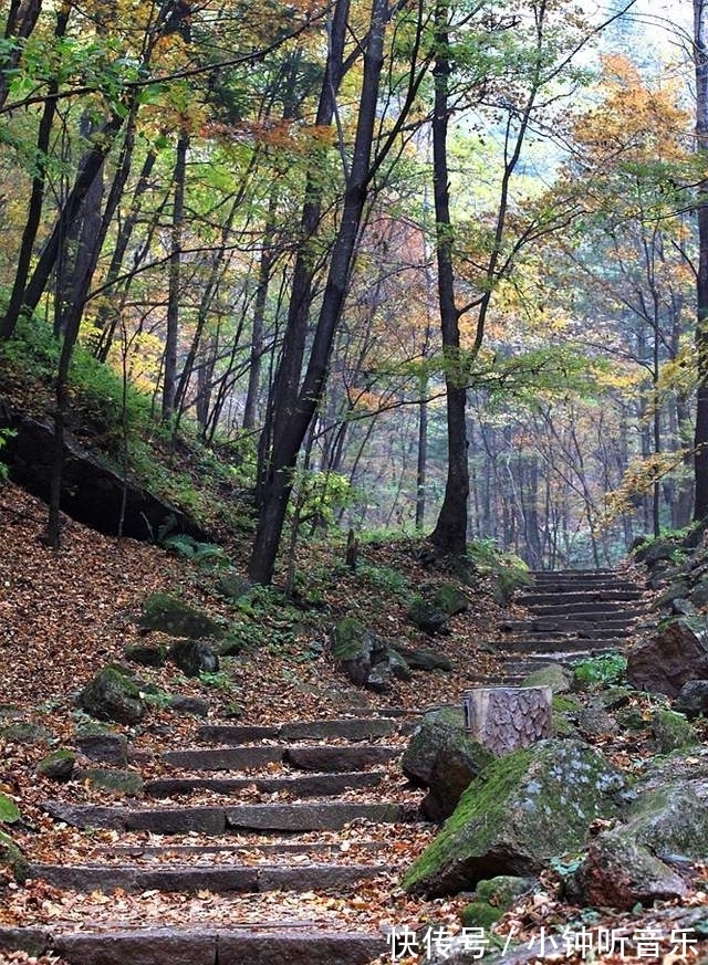 宝藏地|吉林旅游宝藏地，两个风格迥异的红叶谷，你更喜欢哪一个