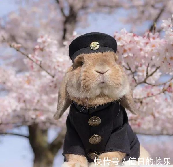 |幽默笑话:老熟人!