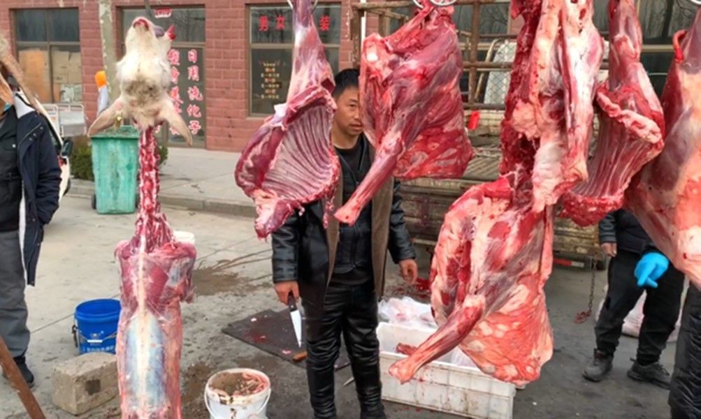 冬天,碰到此肉别手软,一次囤50斤,放冰箱冻起来天冷吃特省事