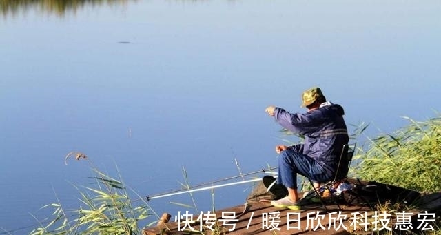鱼儿|野钓想要连竿爆护,就必须弄明白这五个重要因素,才能鱼获满满