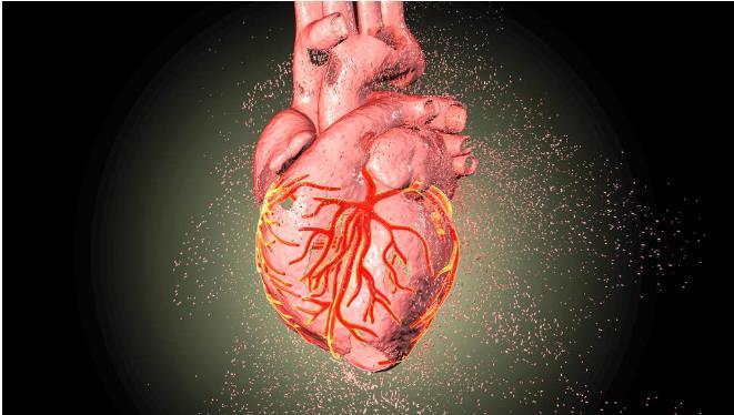 想延缓衰老,从呼吸开始:跟着这样做,让内脏“动”起来