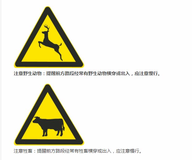 洪雪飞|开车出行 除了避免撞到骆驼 还有哪些驾驶习惯需要注意