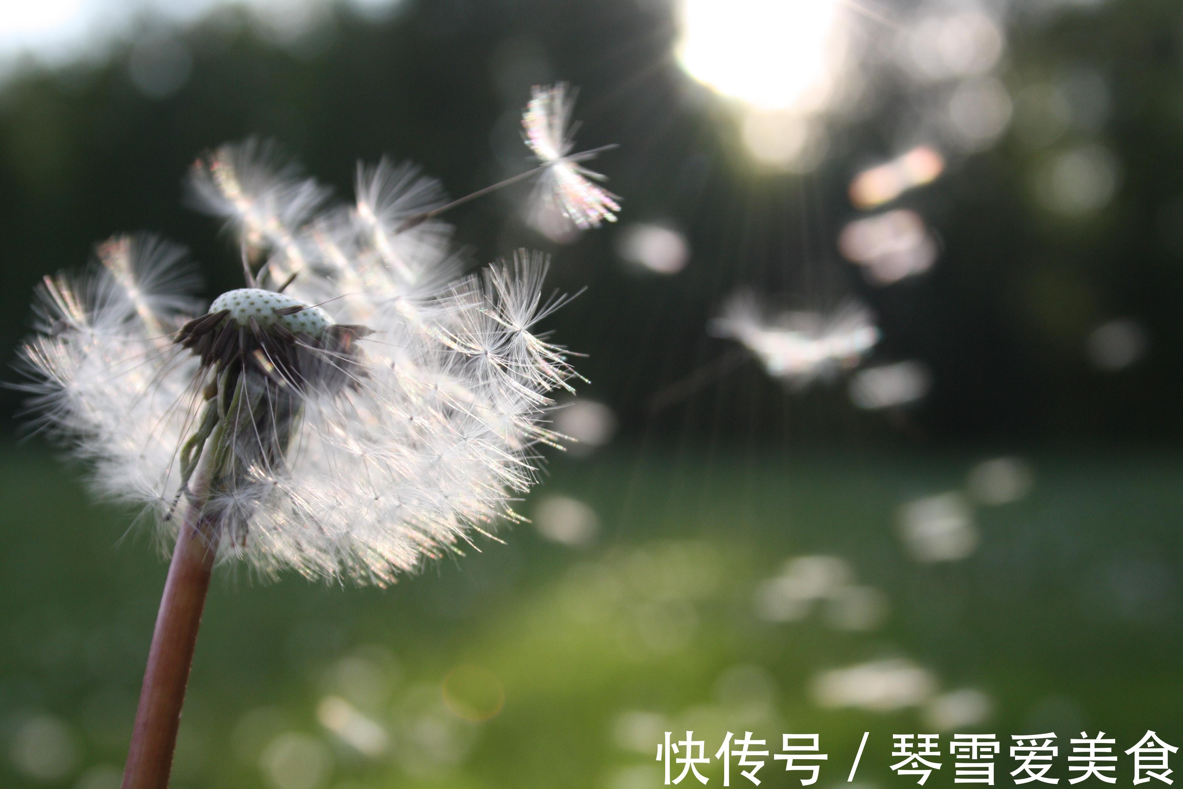 大姨|儿女成家后,和亲家相处做到2点就够了,很重要