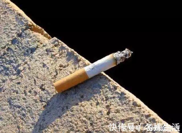 沙子|盆里埋点它，小虫子全没了，花越长越茂盛！