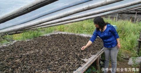 它是天然的“血栓死对头”，经常吃点，软血管，50的人30岁的血管！