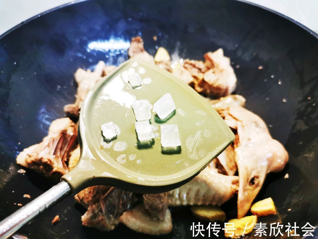 豆瓣酱|鲜香浓郁的焖鹅肉，制作简单，美味可口