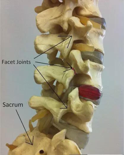 关节|健身动作不规划,小心效果适得其反!