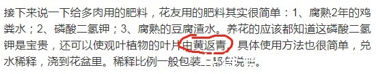 伪常识|3个伪常识，不但对养多肉没帮助，甚至会害死肉肉，不要被误导