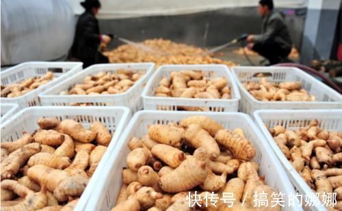 本草汇言|50岁后瘫痪风险逐年增加,菜里加点这个,风险降低一半!