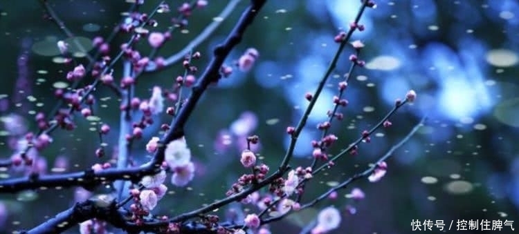 美的|蒋维翰很经典的一首咏梅诗,短短的28个字,写出了世间绝美的梅花