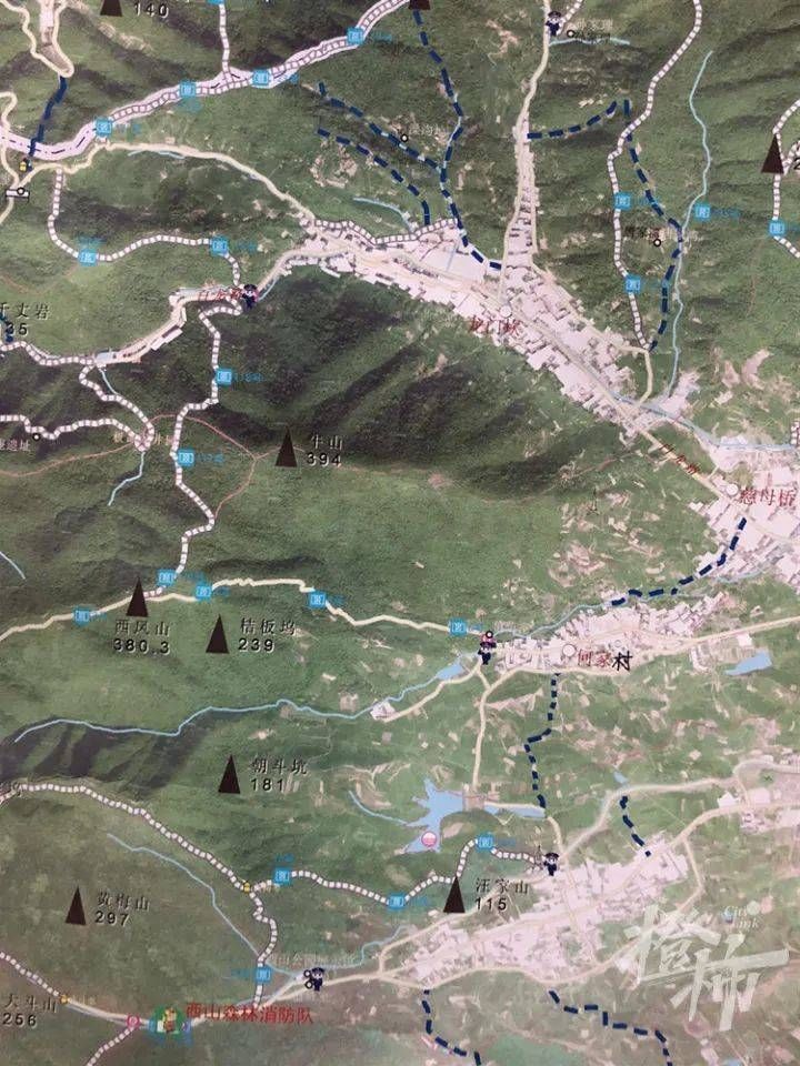 “跑得像飞一样！”凌晨1点，无人机发现第三只豹子，合围失败