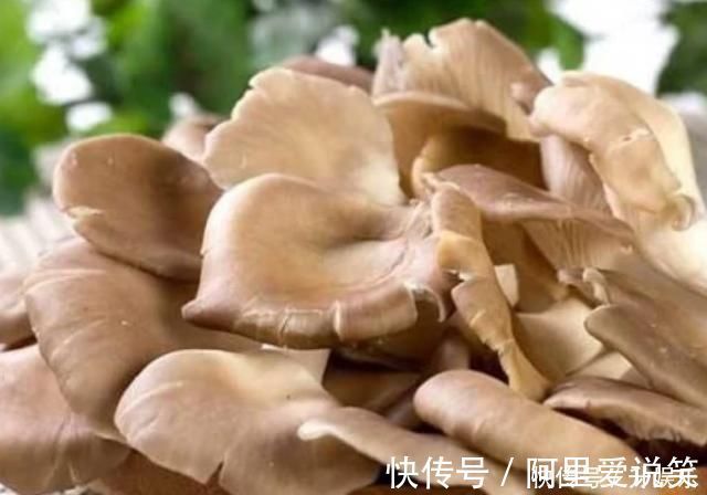 蘑菇|纯天然“提高剂”总算被找到,爸爸妈妈要懂得让小孩吃,或能推动骨骼生长