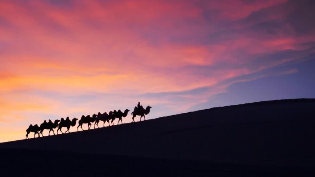 对不起|推荐丨对不起,别再找我,我要去阿拉善了