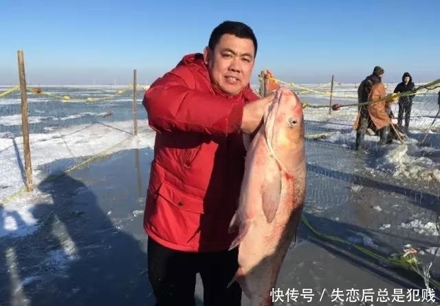 冬捕|辽金查干湖冬捕,千人扯网捞出头鱼,卖出85万天价,喜人