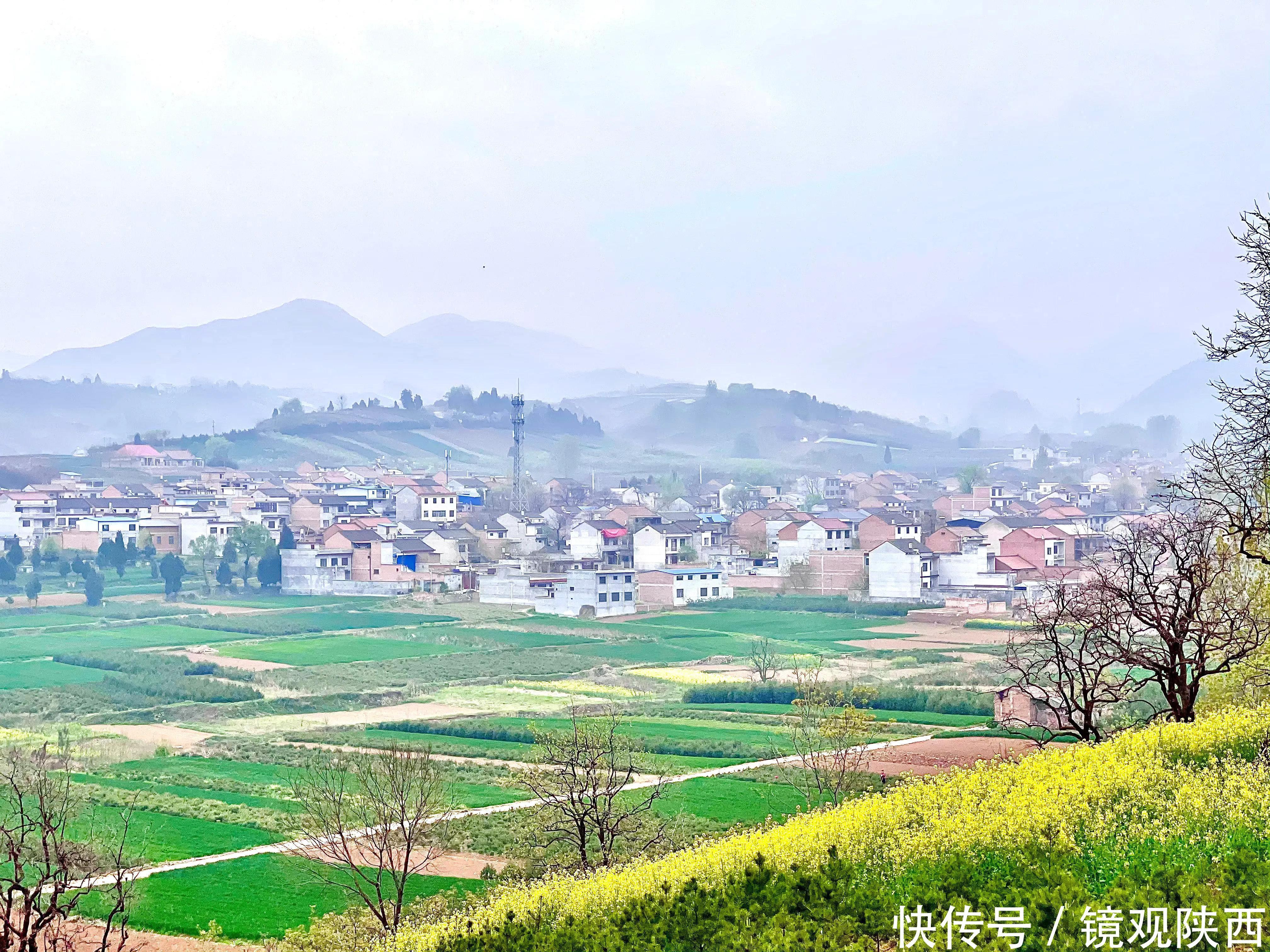 赶集、赏花、咥美食，春天到蓝田焦岱，体验最真实的乡村旅游