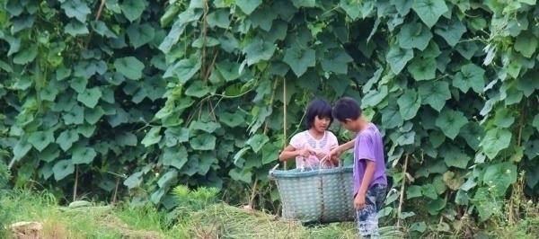 原则|学会10条原则，父母轻松又安逸，好孩子不在是别人家的