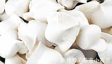 脂肪含量|宁愿吃肉也不去碰的4种美食,虽然油不多,但都堪称肥胖增长剂