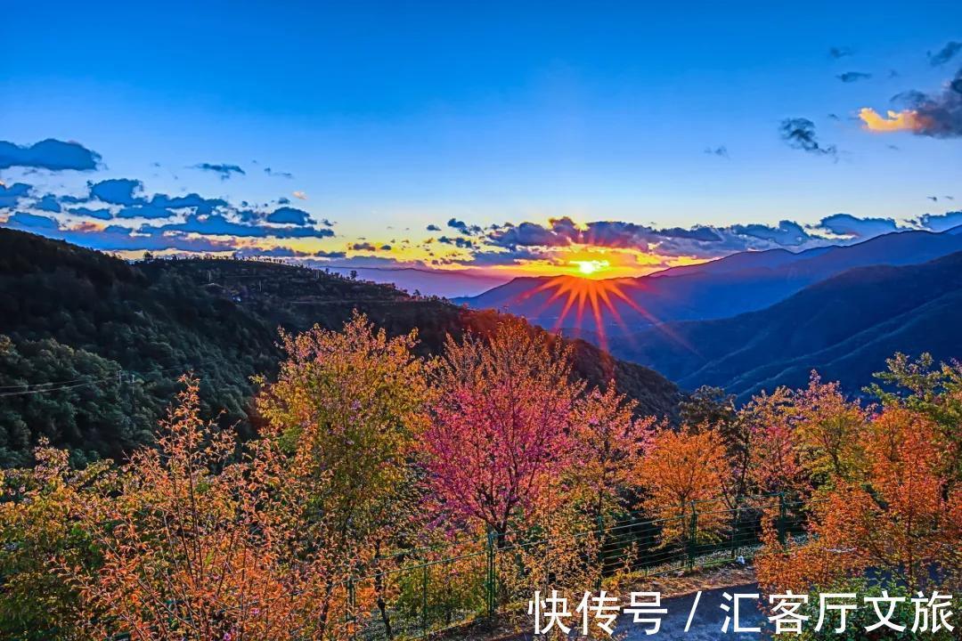 樱花|无量山，云南冬日里一场限定的浪漫！