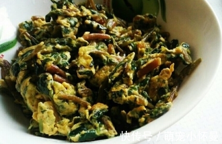 金不换|秋后的“金不换”,补铁是菠菜的2倍,炒一炒就上桌,吃着香
