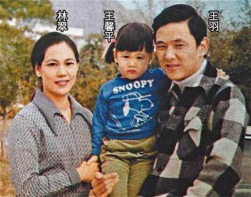王羽|教主王羽成名早于李小龙,被林青霞倒追,深陷三大血案