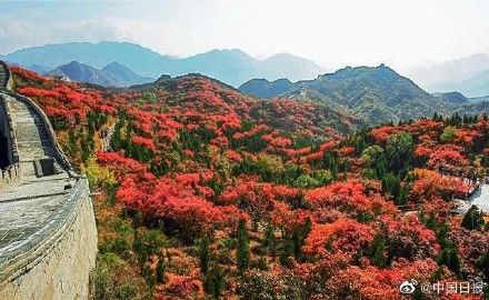 秋季|北京最美秋季来临 多地可以赏红叶