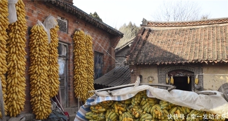土地|93岁老人一家人住悬崖山上，半世纪开垦30亩荒地，收集雨水吃一年
