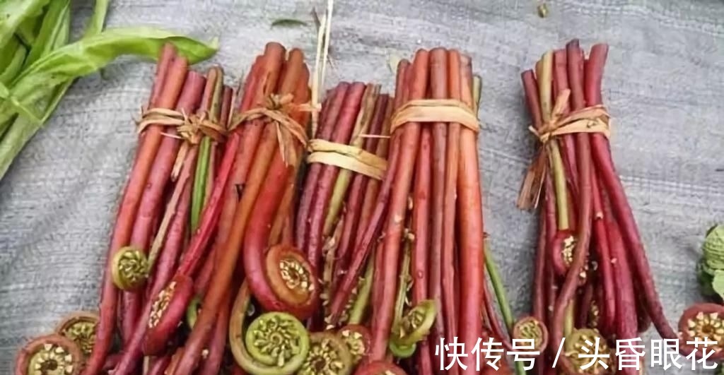 食用价值|卫生部通知马上停止吃这3种菜,己被列入“黑名单”,千万要注意