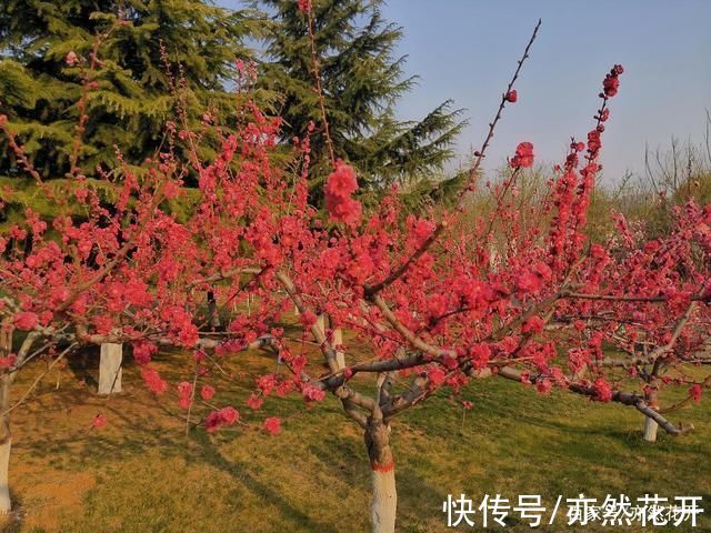 光明的未来|《学会提问》:优质提问具有强大的力量，越是优秀的人越会提问