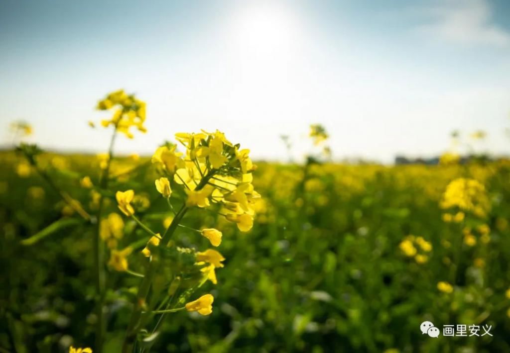 精华|太美了！近处风景！花样南昌……