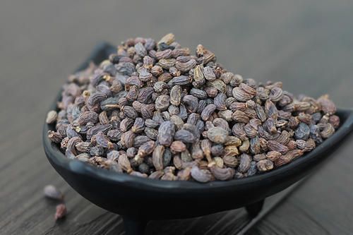 肝腎|腎精少，就顯老！兩味藥，治腰彎、白發、耳鳴，幫你顯年輕