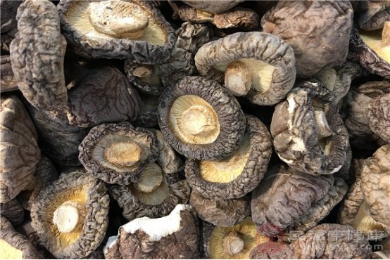 含膳食纤维的食物有哪些